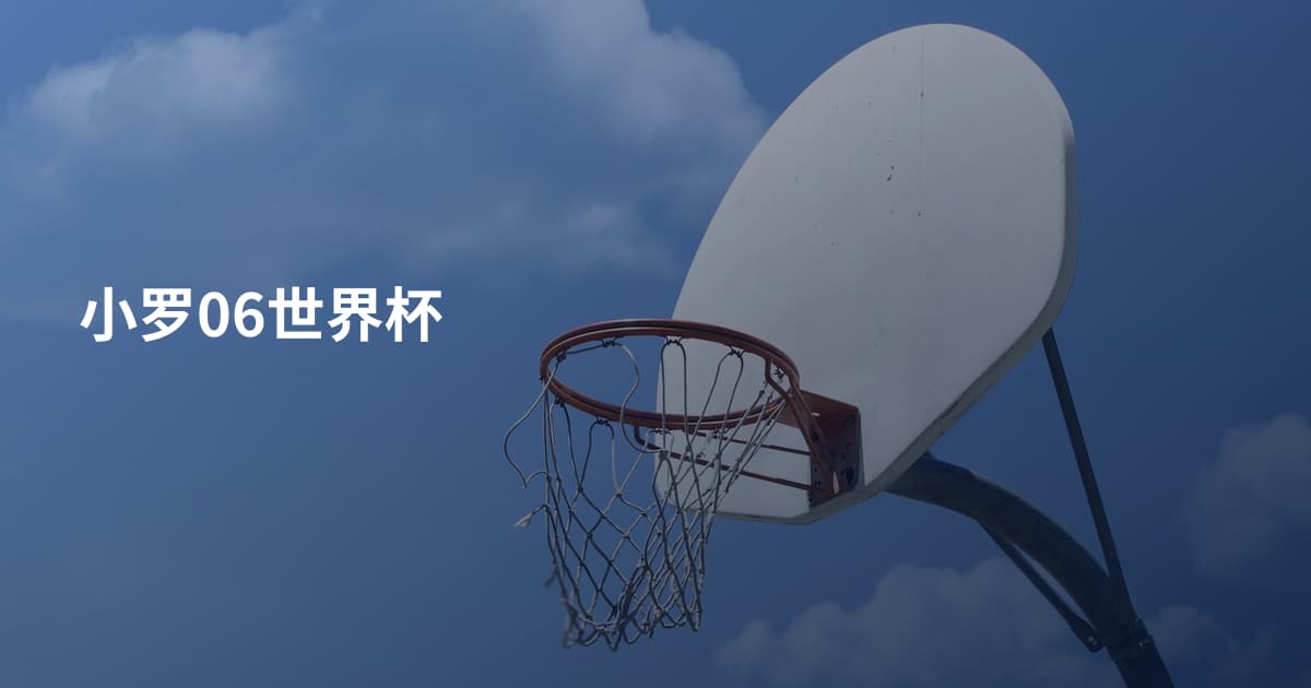 小罗06世界杯