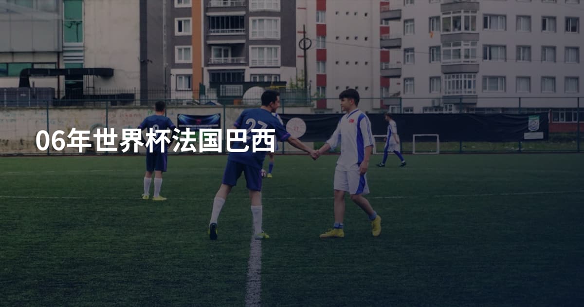 06年世界杯法国巴西