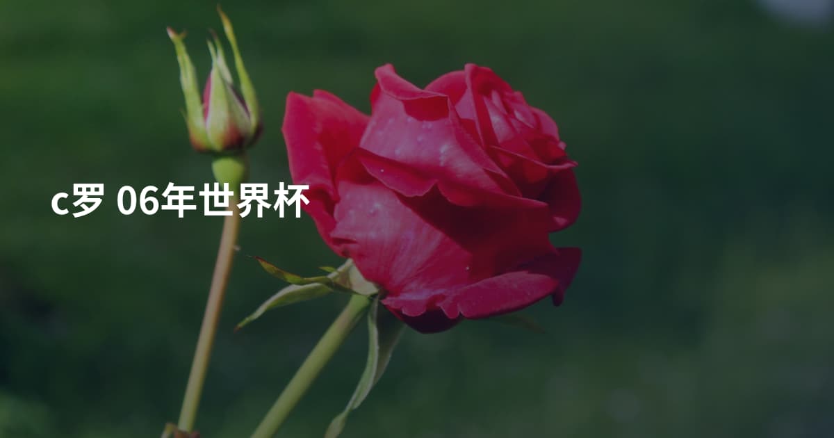 c罗 06年世界杯