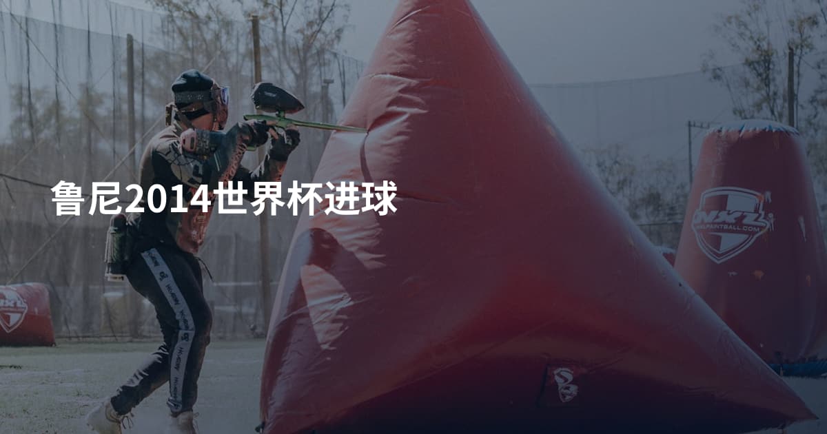 鲁尼2014世界杯进球