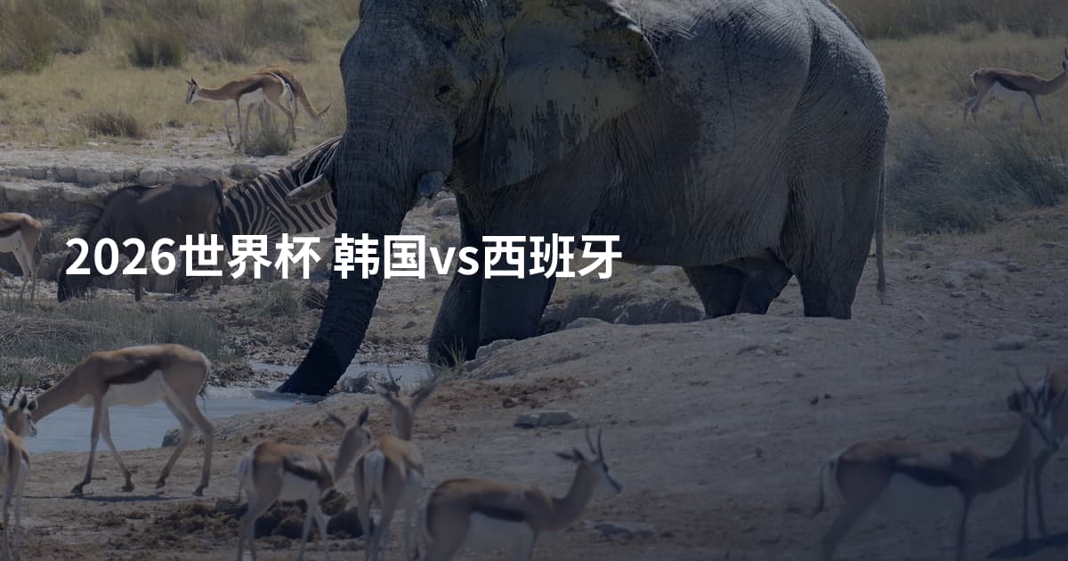 2026世界杯 韩国vs西班牙