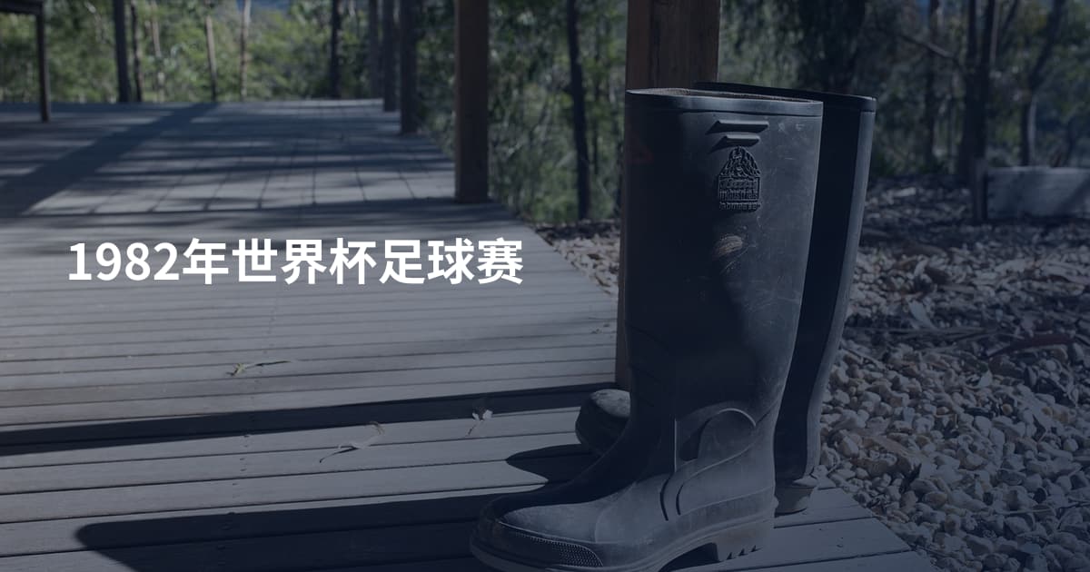 1982年世界杯足球赛