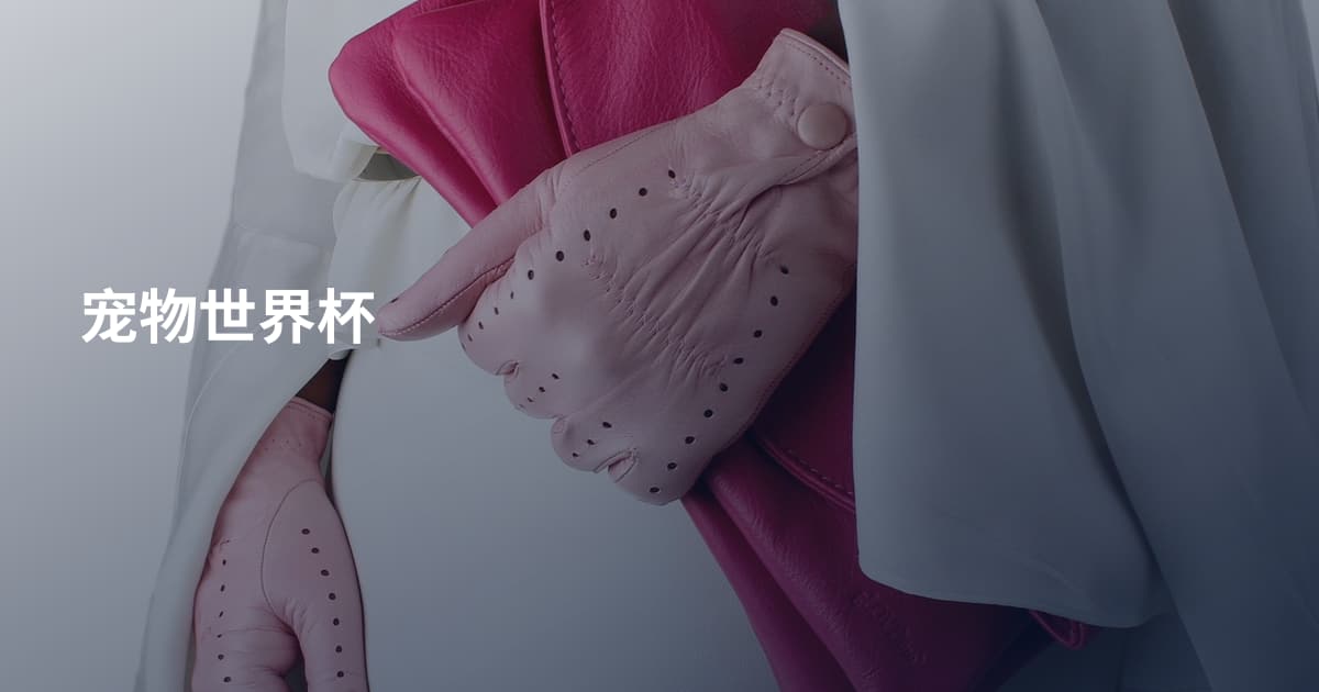 宠物世界杯