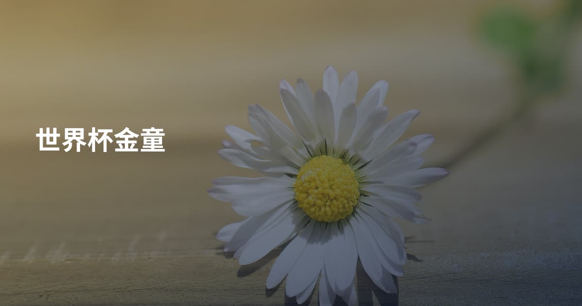 世界杯金童