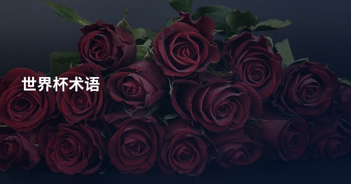 世界杯术语
