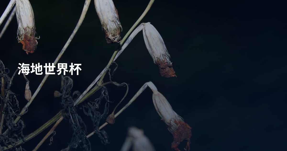 海地世界杯