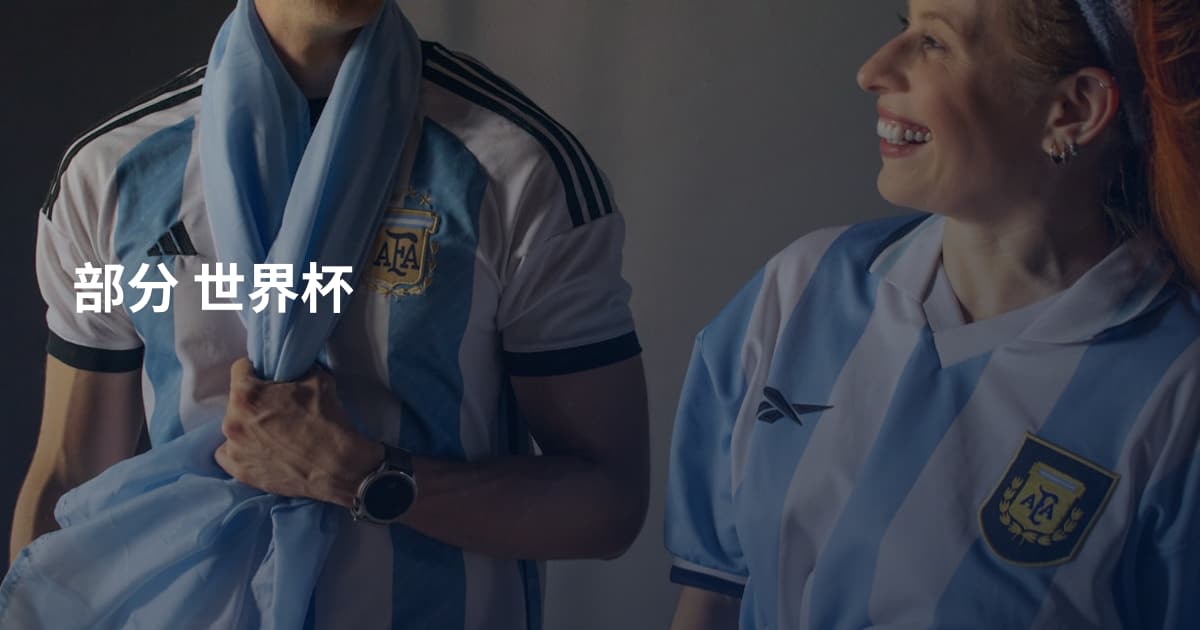 部分 世界杯