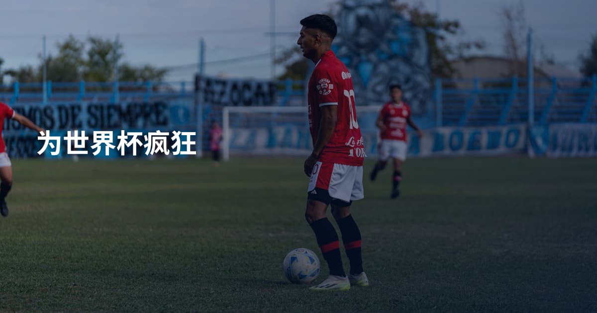 为世界杯疯狂