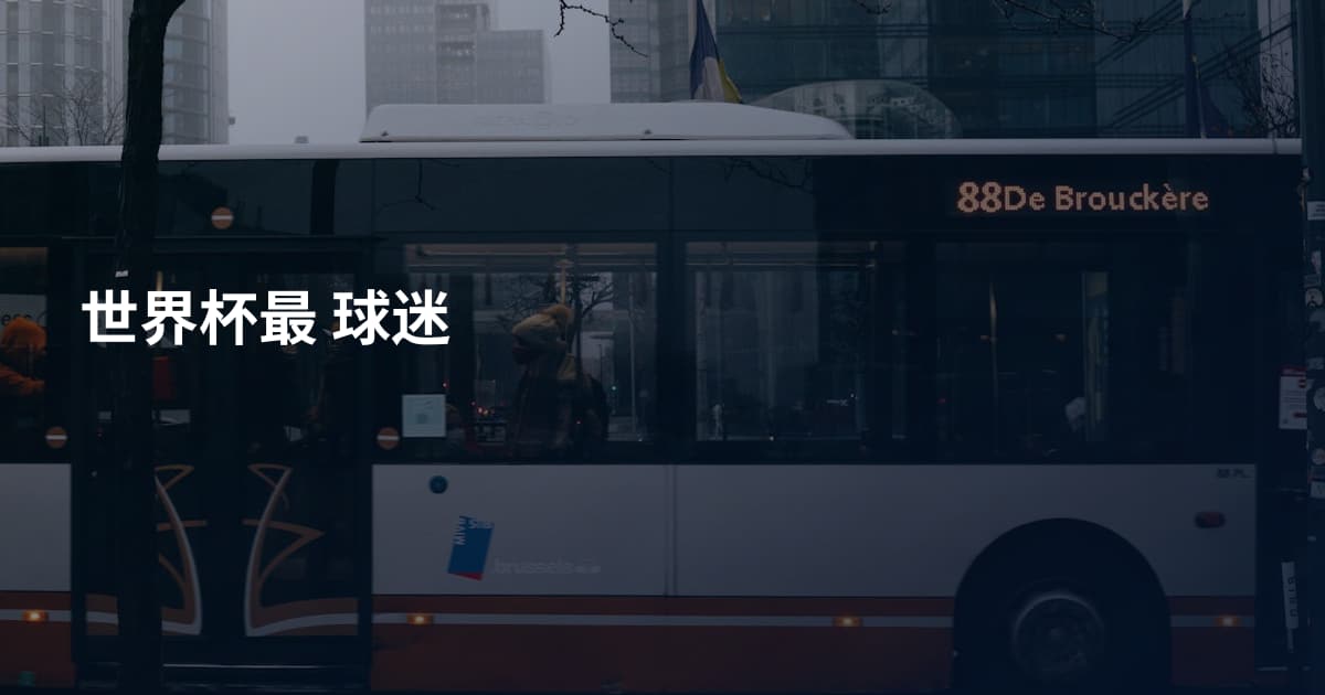 世界杯最 球迷