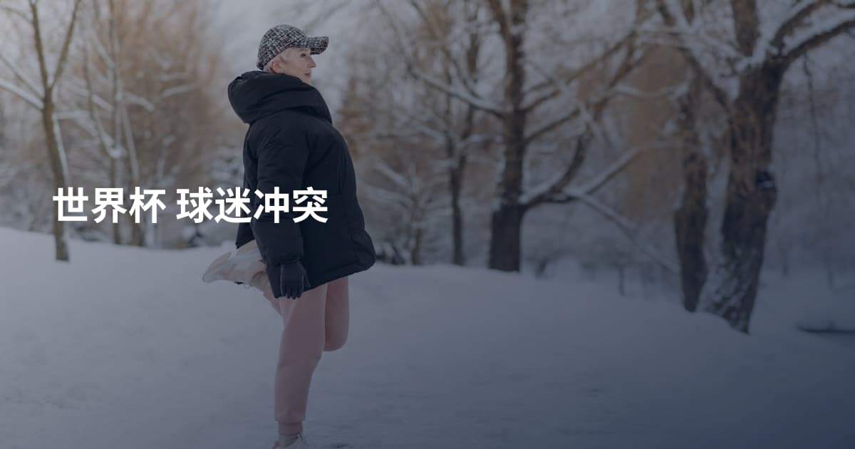 世界杯 球迷冲突