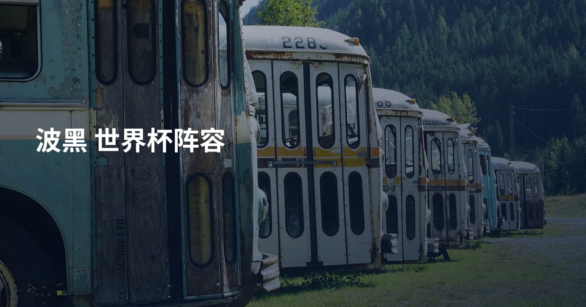 波黑 世界杯阵容