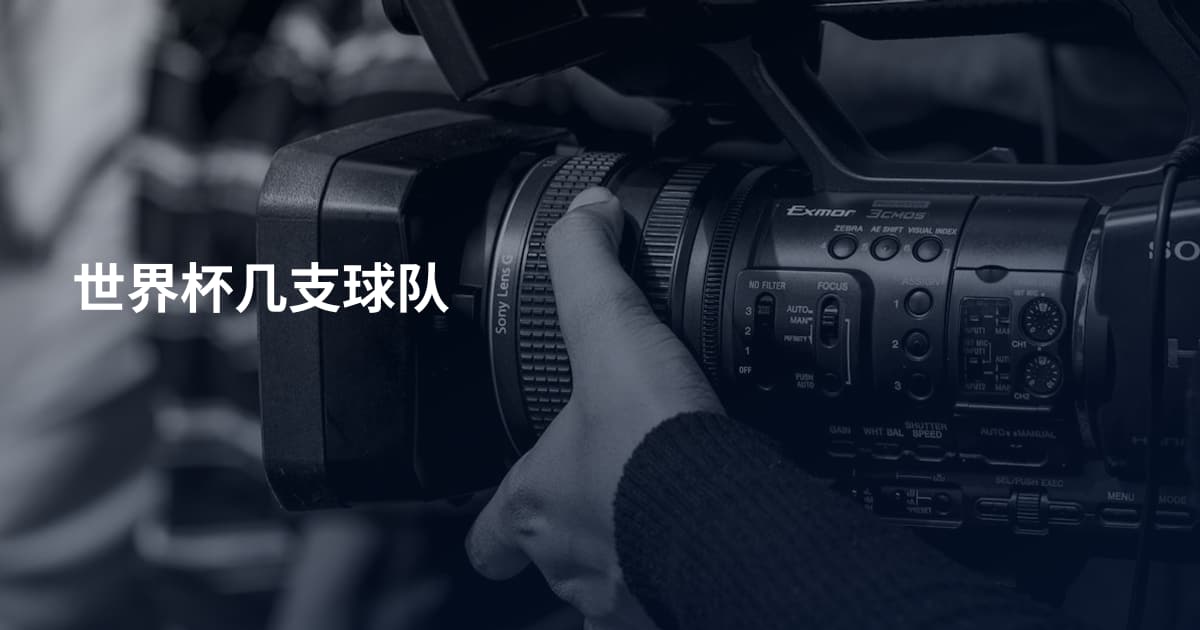 世界杯几支球队