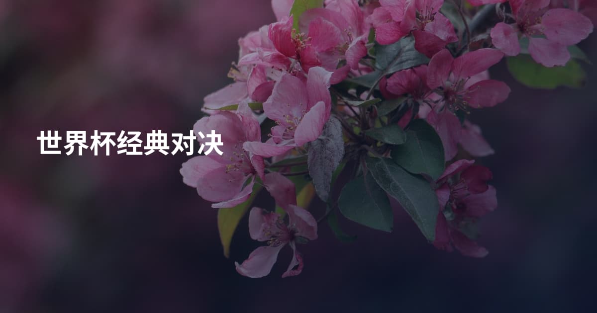 世界杯经典对决