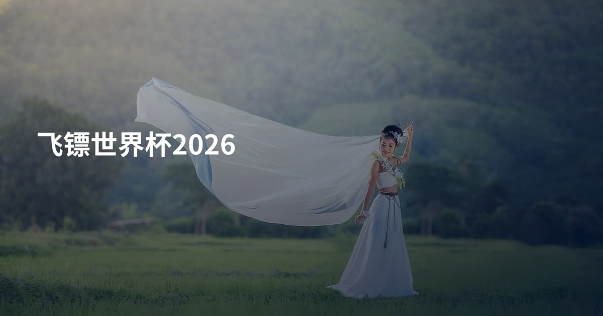 飞镖世界杯2026