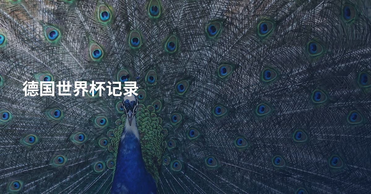 德国世界杯记录
