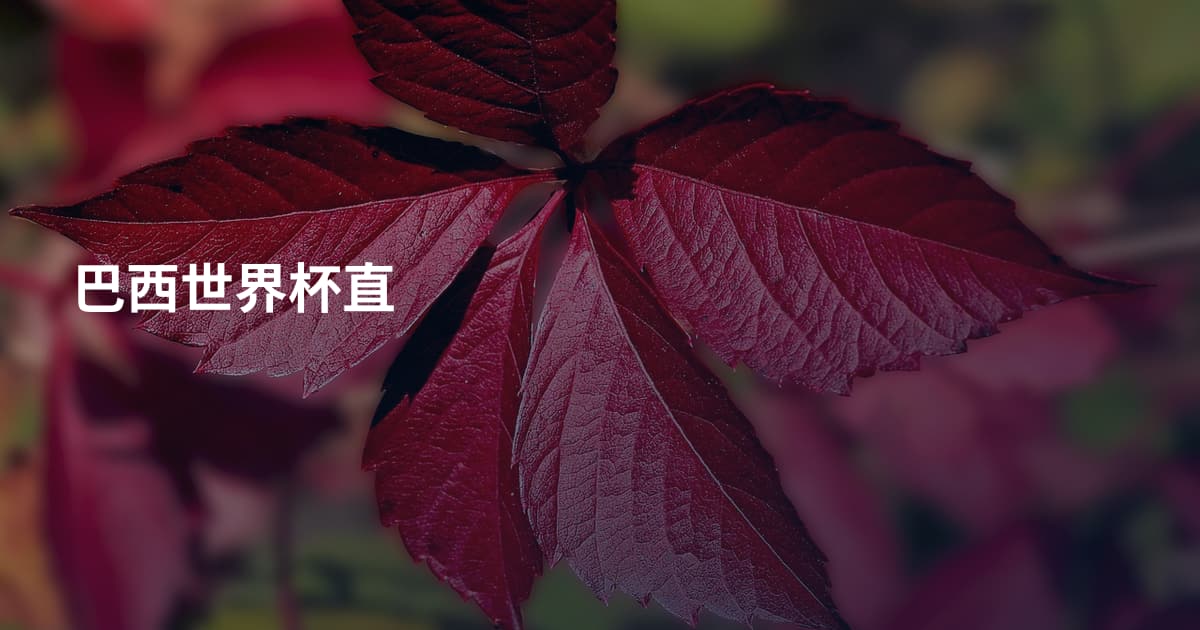 巴西世界杯直
