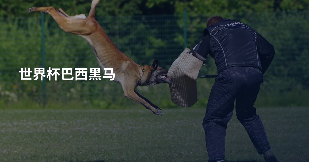 世界杯巴西黑马