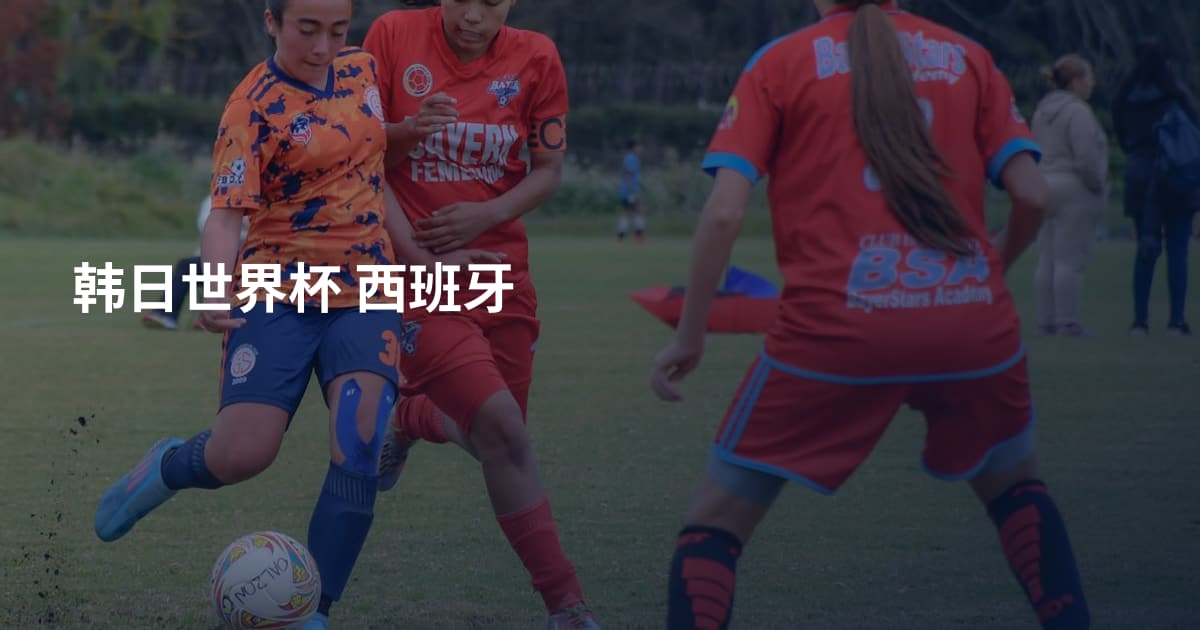 韩日世界杯 西班牙