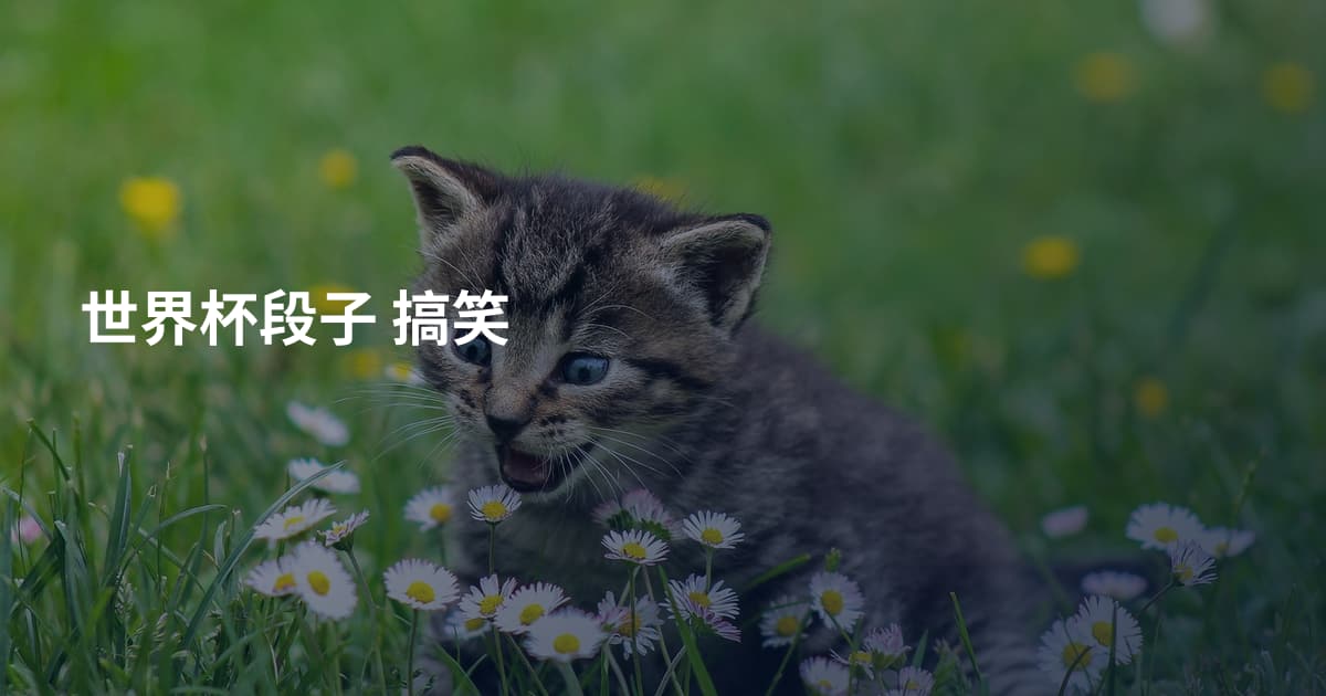 世界杯段子 搞笑