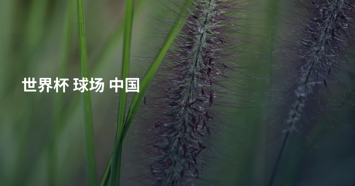 世界杯 球场 中国