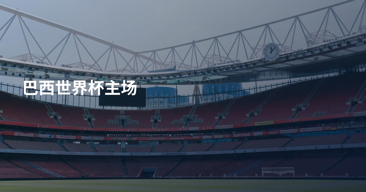 巴西世界杯主场