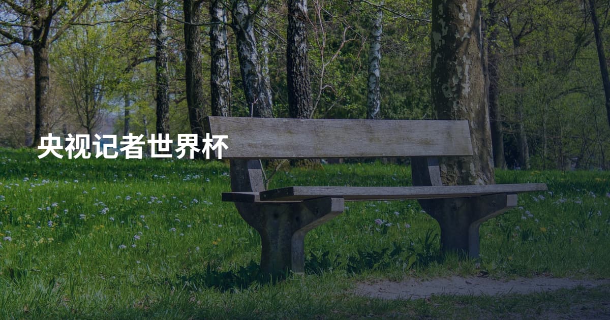 央视记者世界杯