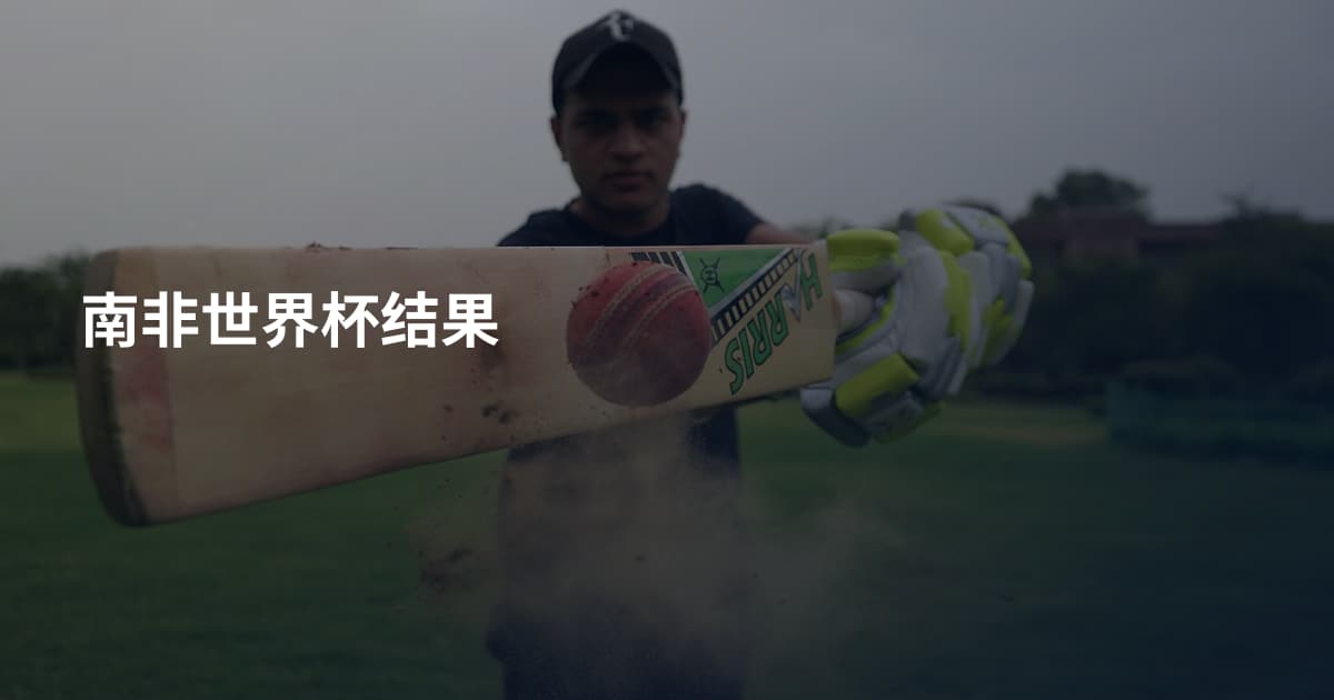 南非世界杯结果