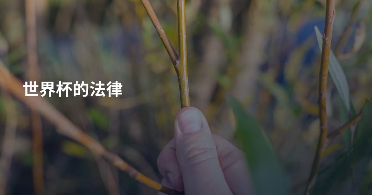 世界杯的法律