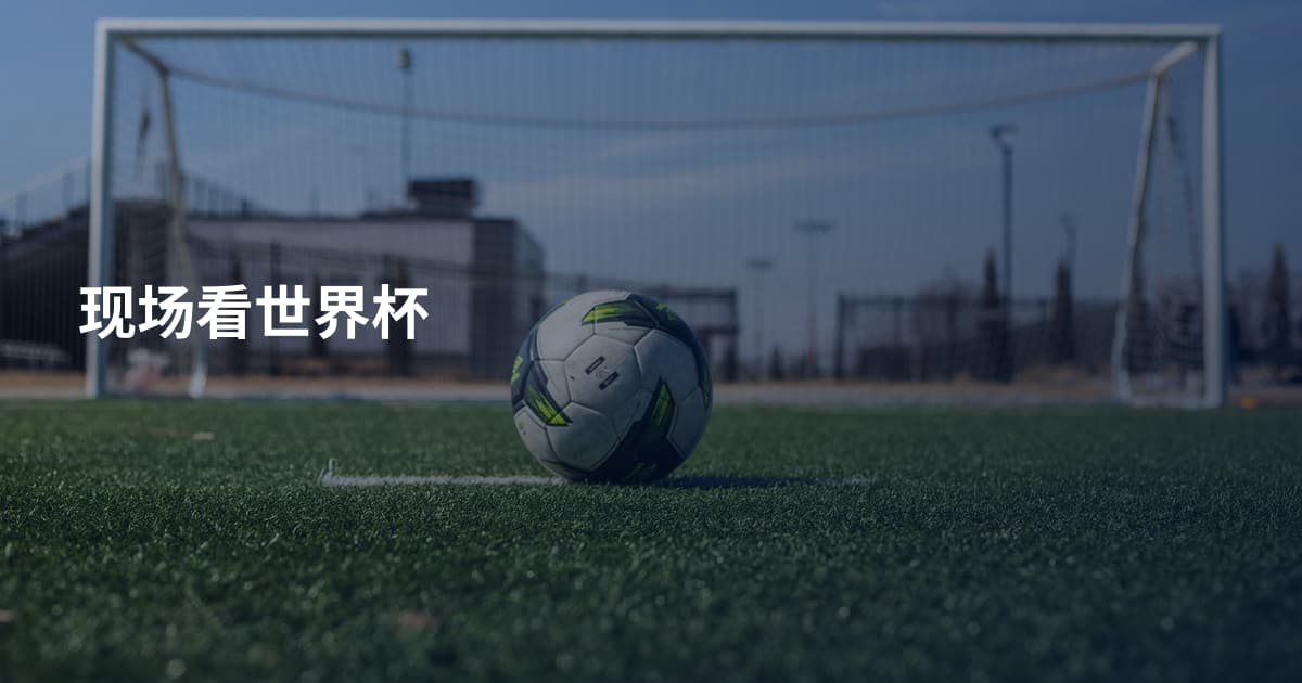现场看世界杯