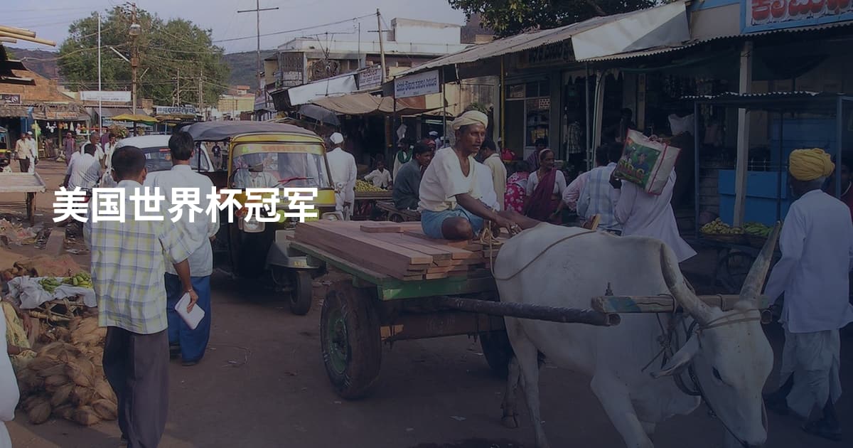 美国世界杯冠军