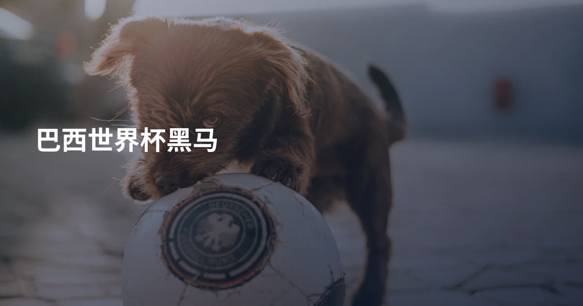 巴西世界杯黑马