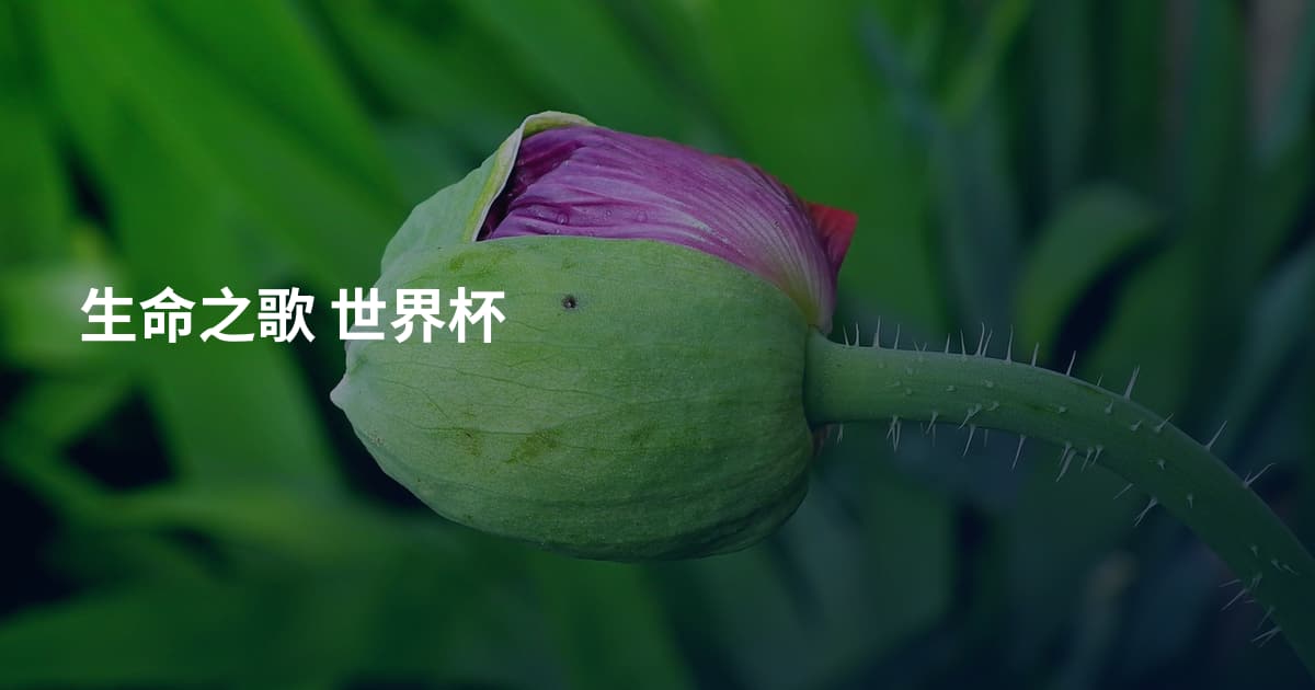 生命之歌 世界杯