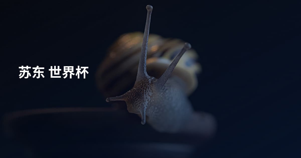 苏东 世界杯