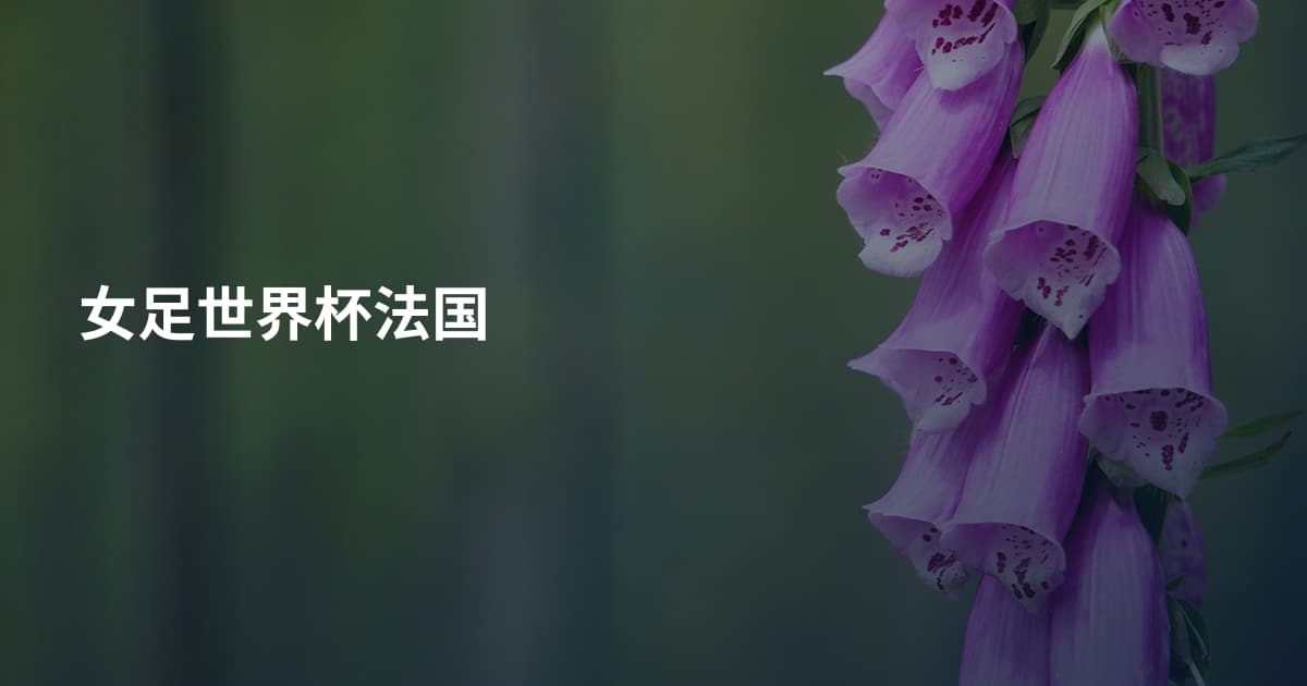 女足世界杯法国