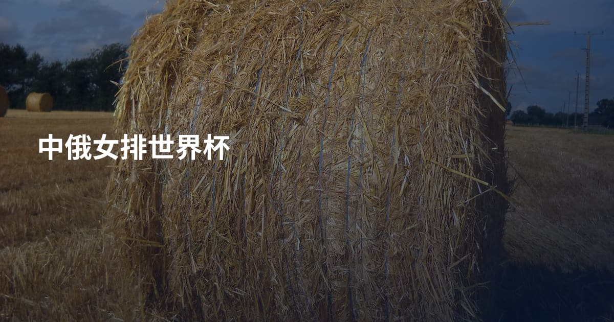 中俄女排世界杯