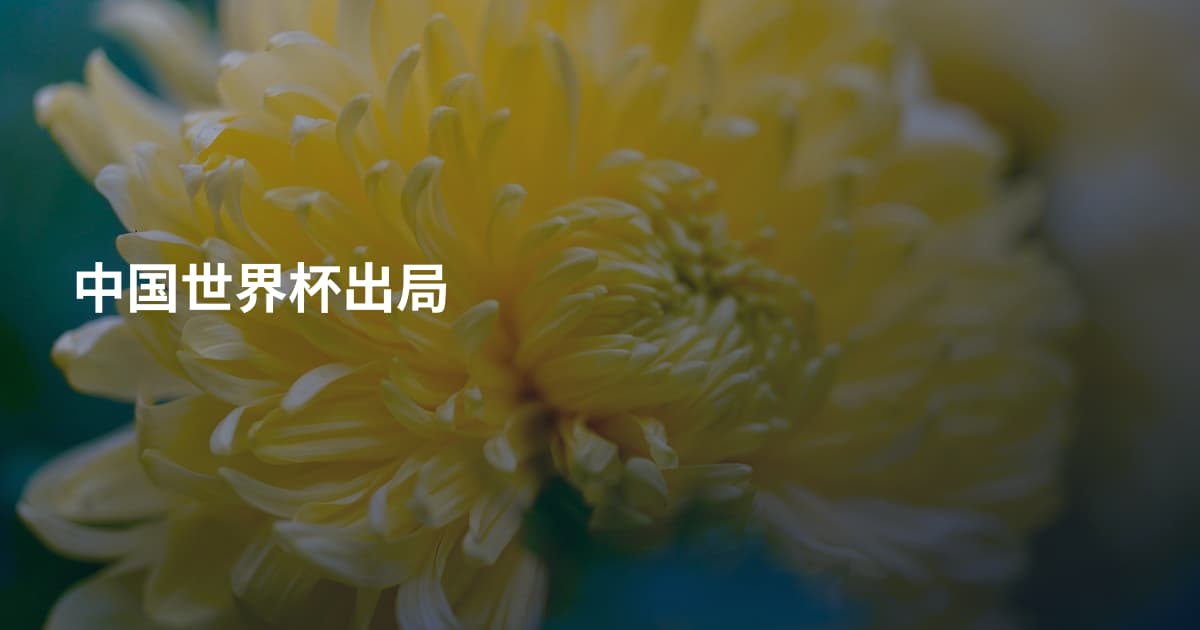 中国世界杯出局