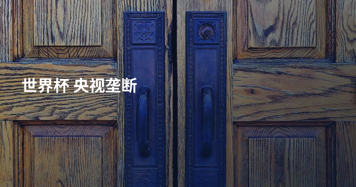 世界杯 央视垄断