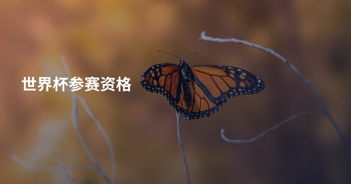 世界杯参赛资格