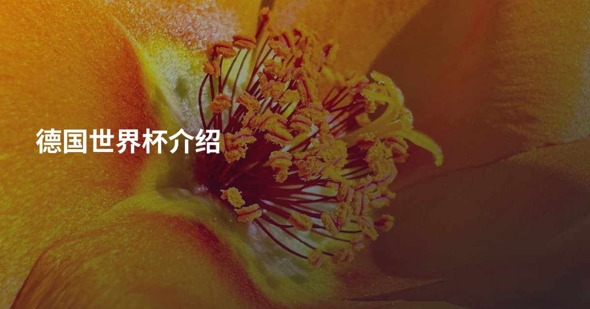 德国世界杯介绍
