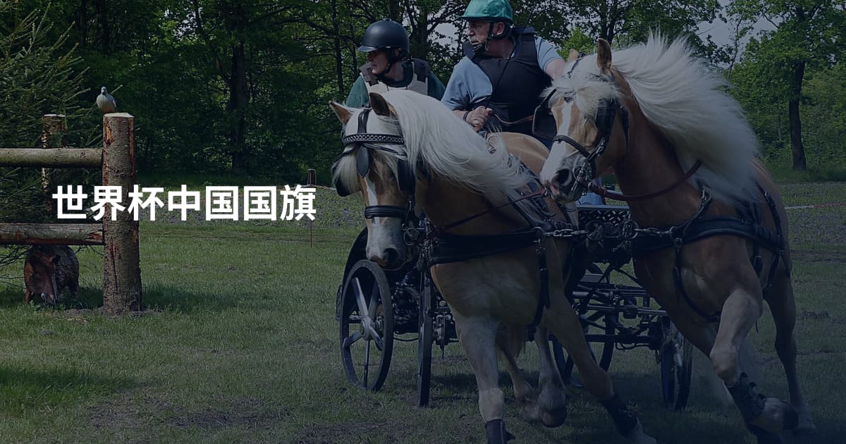 世界杯中国国旗