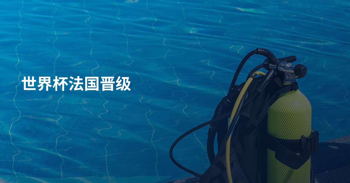 世界杯法国晋级