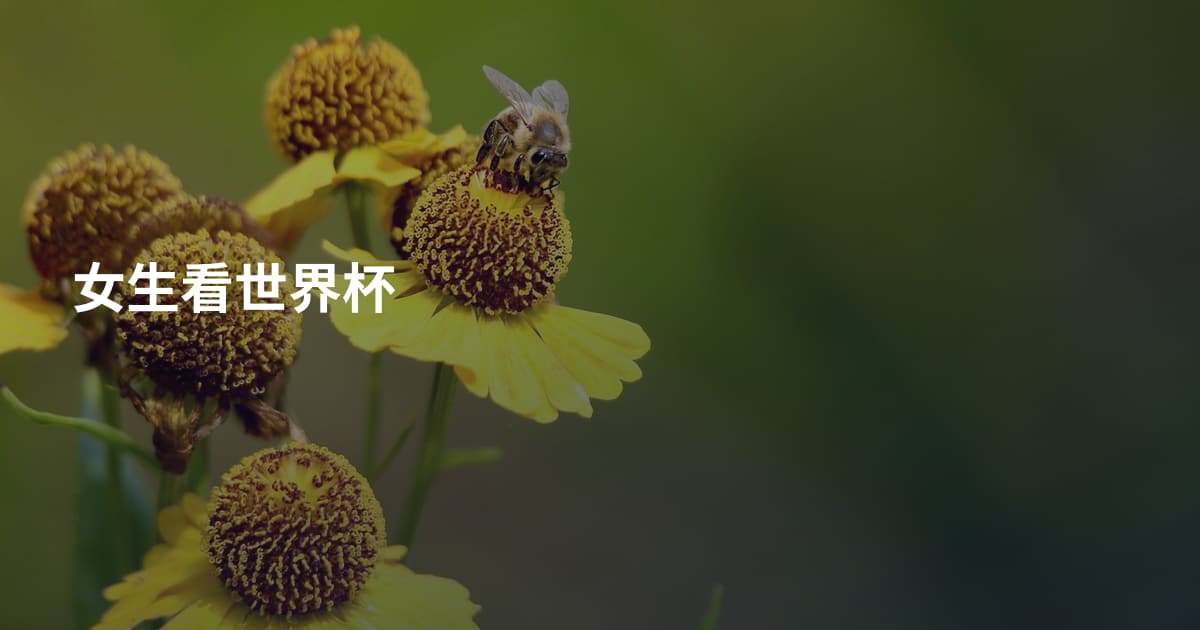 女生看世界杯