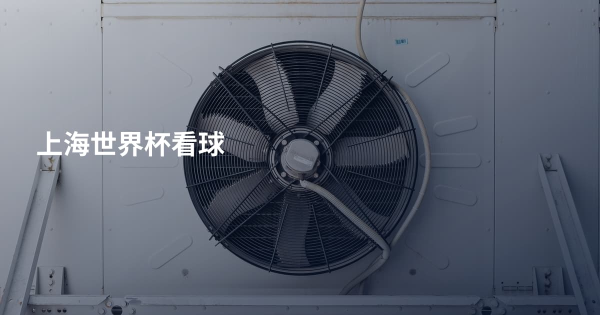上海世界杯看球