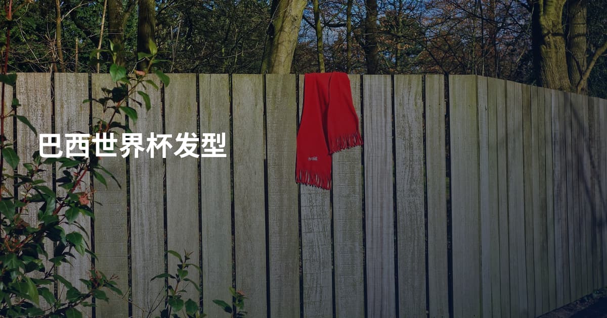 巴西世界杯发型