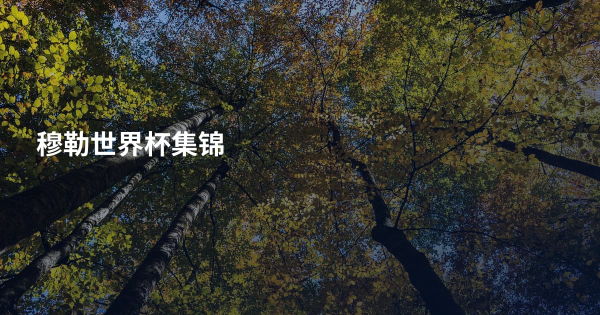 穆勒世界杯集锦
