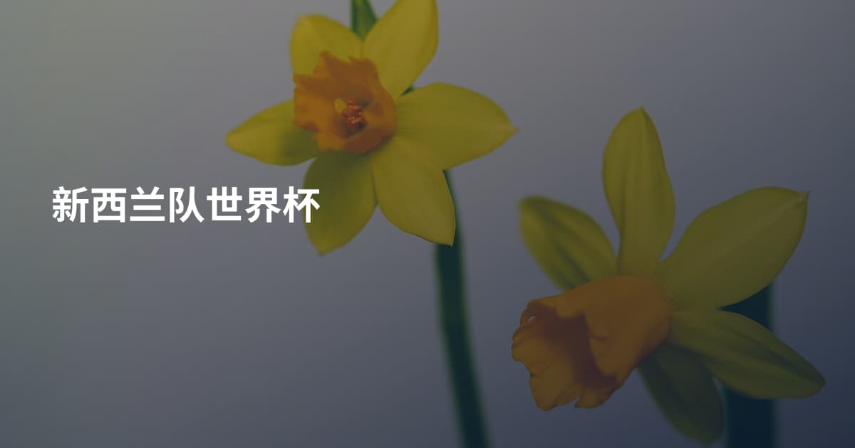 新西兰队世界杯