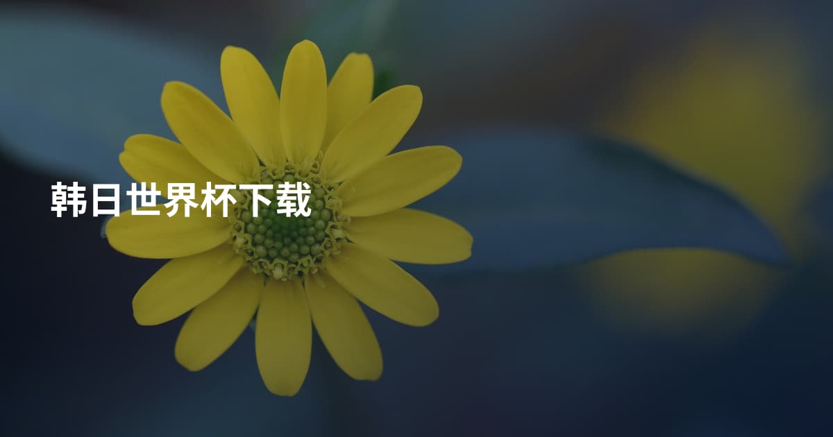 韩日世界杯下载