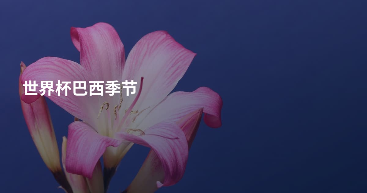 世界杯巴西季节