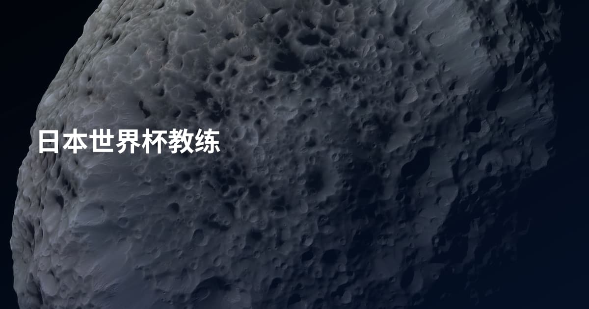 日本世界杯教练