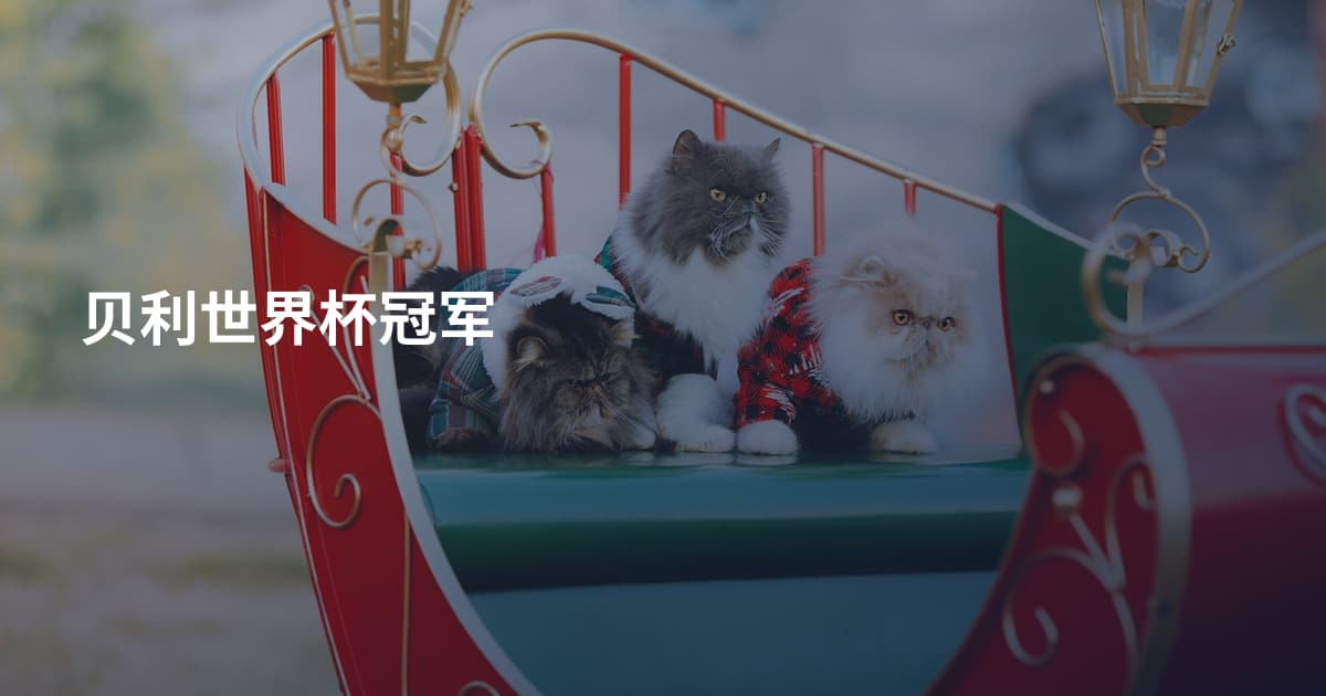 贝利世界杯冠军